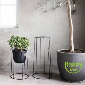 KỆ SẮT H50 - M20 - 6 trụ